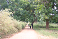 zambia5